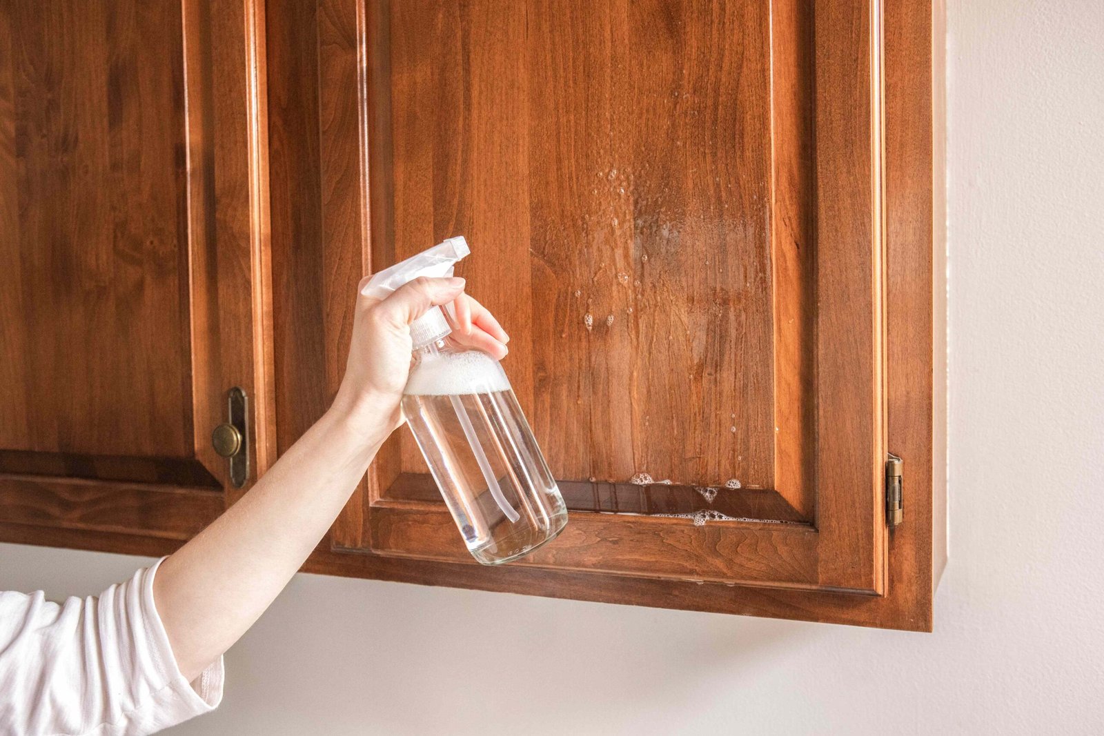 Cabinet Cleaning ( upto 2)